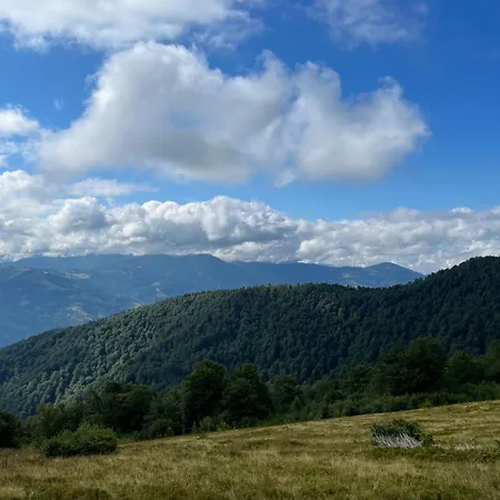 بيت ضيافة терентин