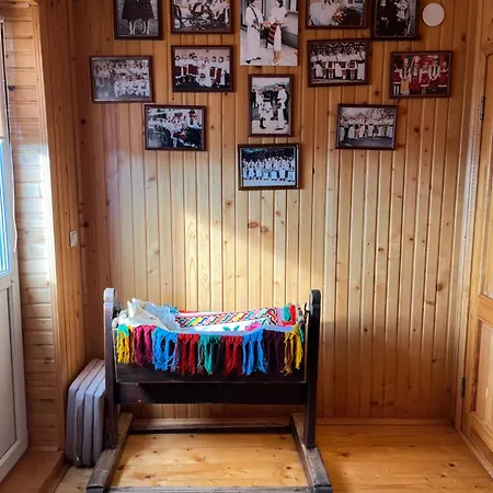 терентин راخيف